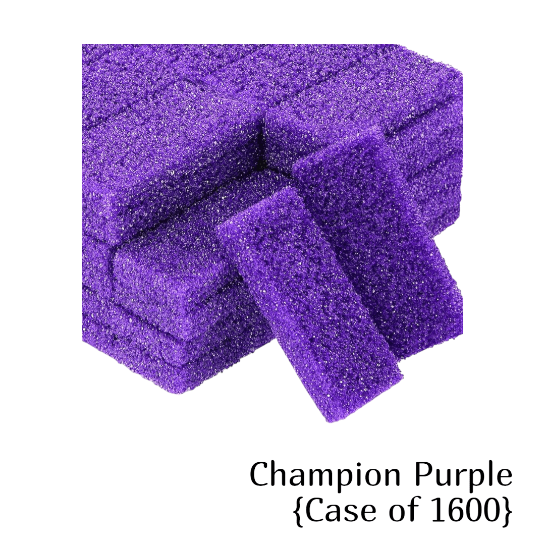 *Disposable Pumice Stone Case