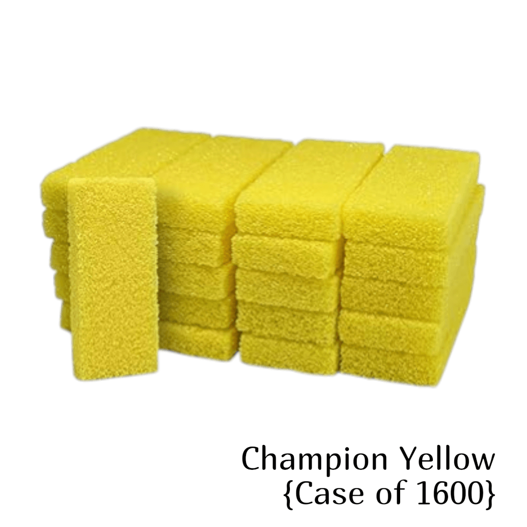 *Disposable Pumice Stone Case