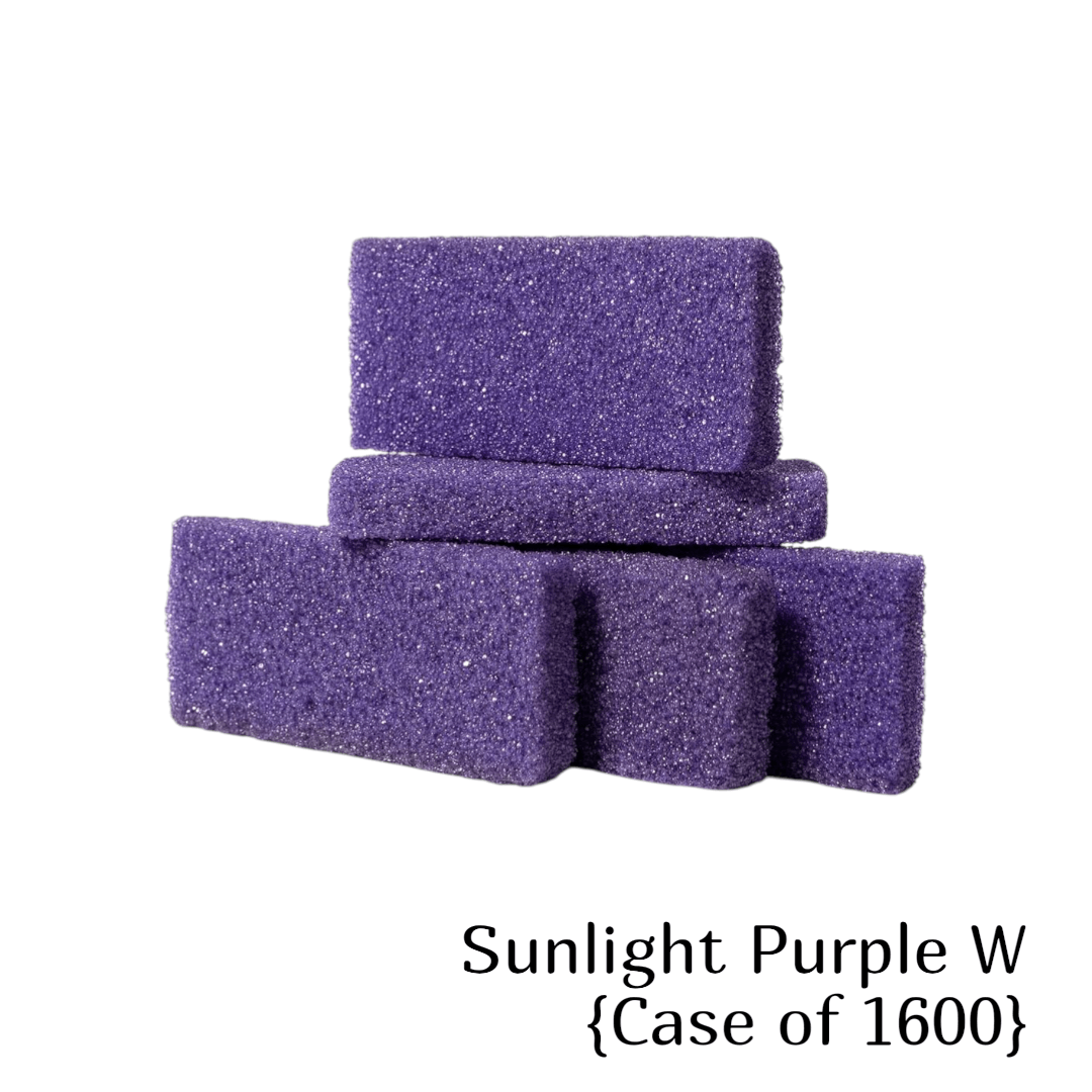 *Disposable Pumice Stone Case